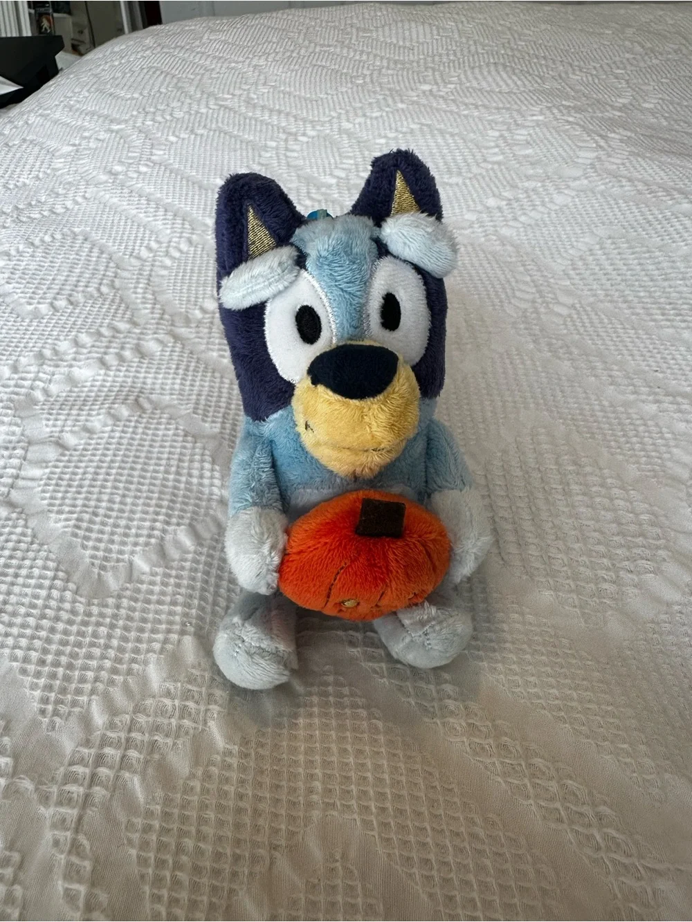 Bluey nwot only